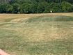 Image of the property 